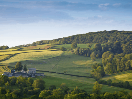 Home care in hinckley